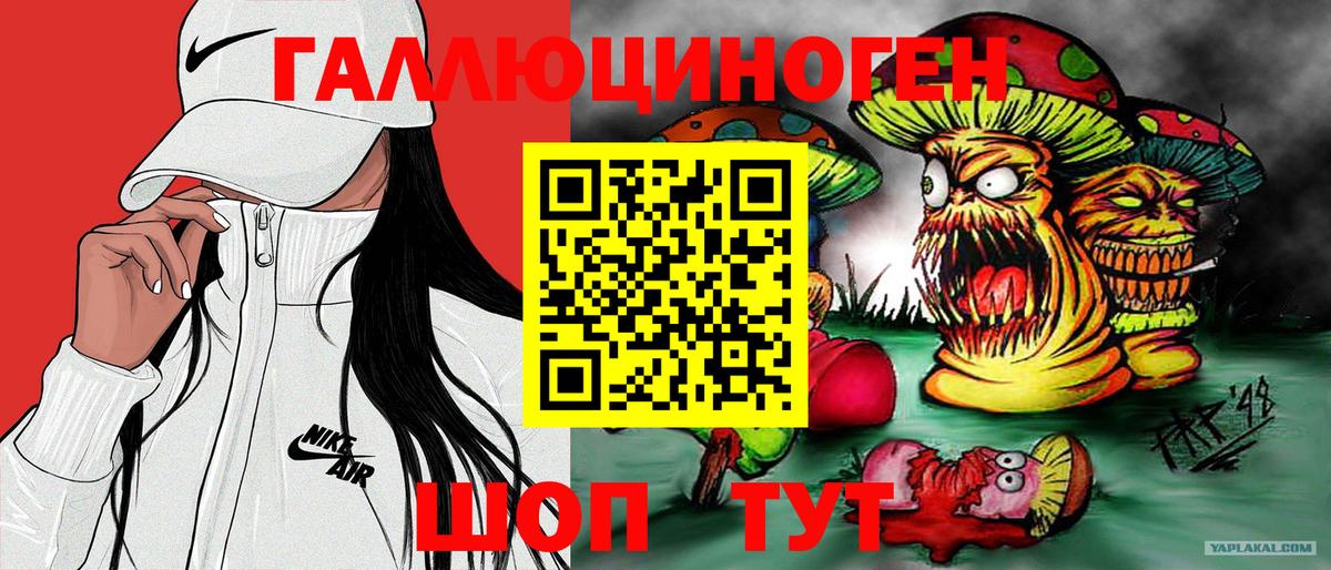 Каннабис Кольчугино