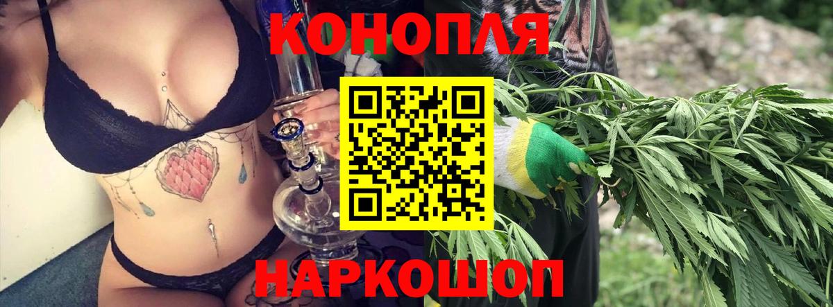 Конопля OG Kush Кольчугино